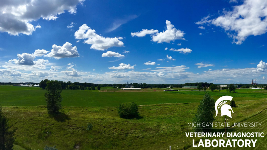 Downloadable Assets | College of Veterinary Medicine at MSU