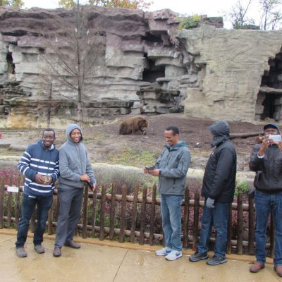 Detroit Zoo In Front Of The Grizzly Bears