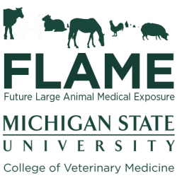 Flame Graphic
