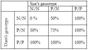 Valberg-sires-genotype