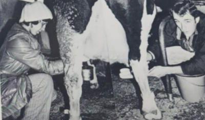 1976 Milking