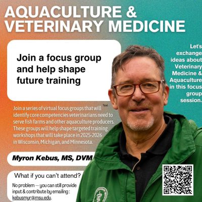 Myron Kebus Focus Groups