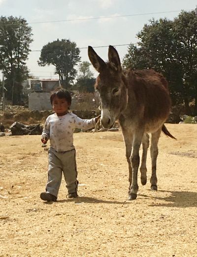 Boy And Donkey2