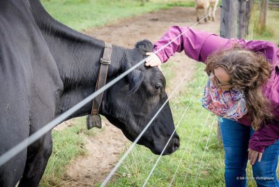 Kesler And Cow