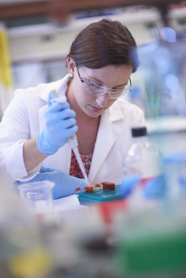 Graduate Programs College of Veterinary Medicine at MSU