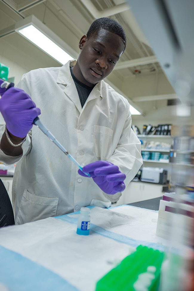 Check Eligibility College of Veterinary Medicine at MSU Check Eligibility College of Veterinary Medicine at MSU