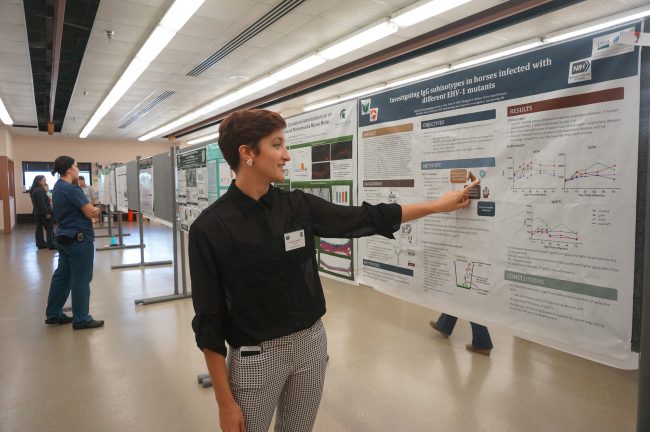 msu summer research program cvm