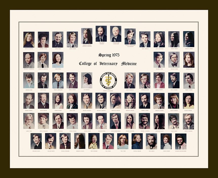 50Th Composite