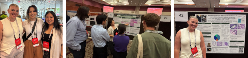 Agnew Lab 2026 Symposium