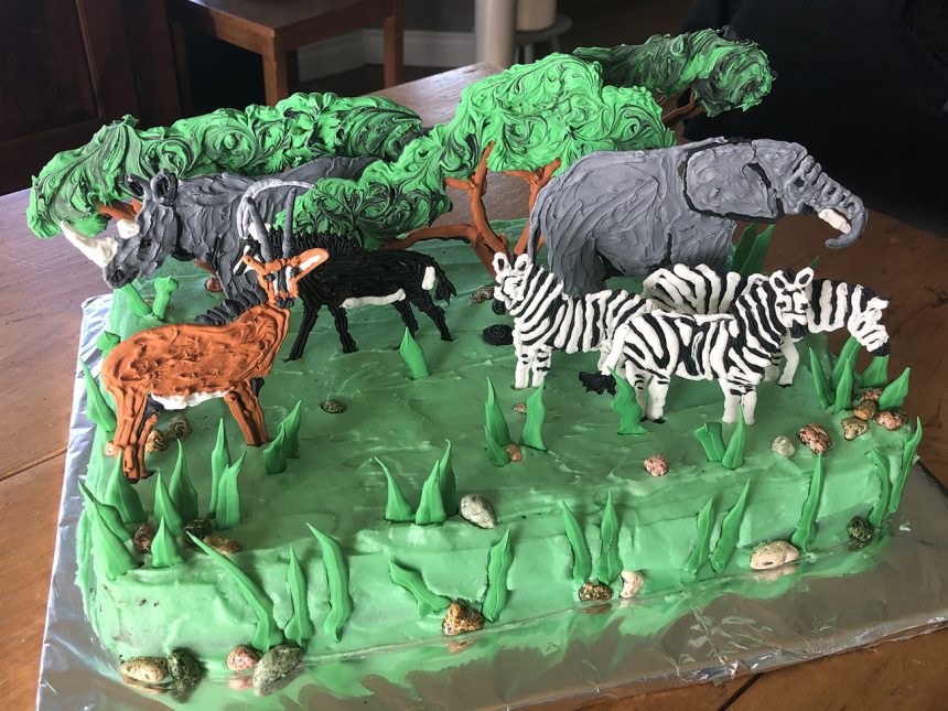 South Africa Cake