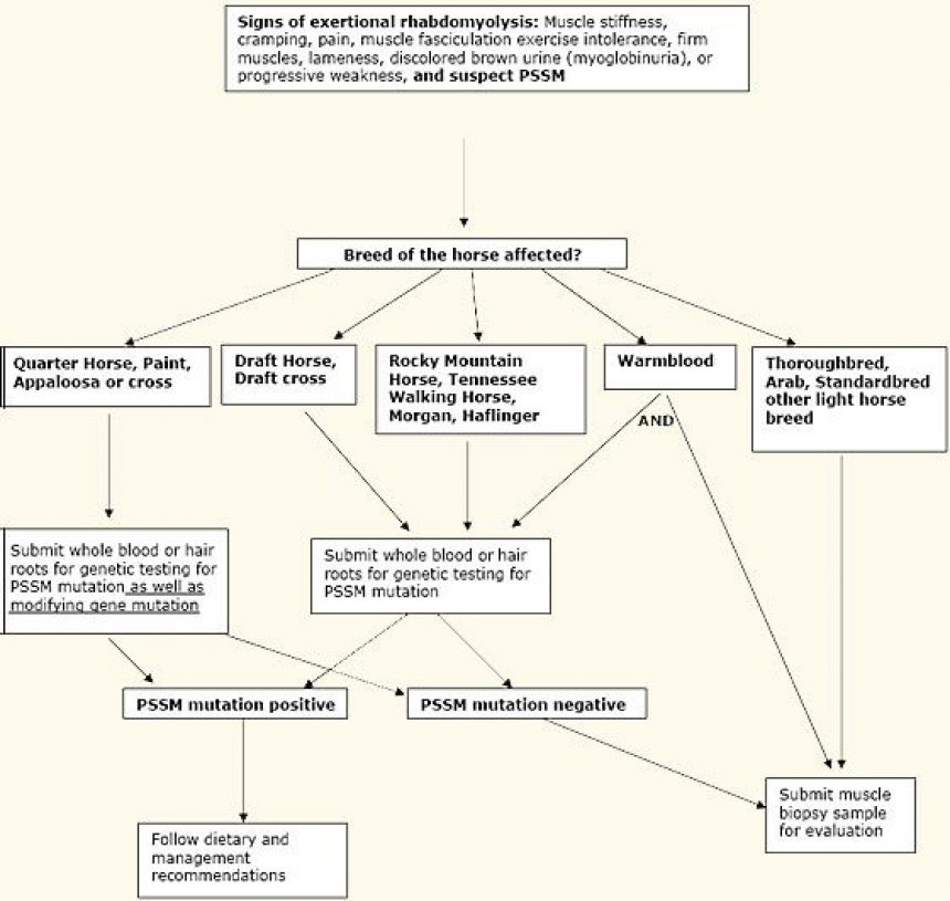 Valberg-recent-advances