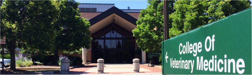 The 1930s  College of Veterinary Medicine at MSU