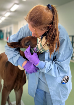 Msuvets Wilson 4 28 22A