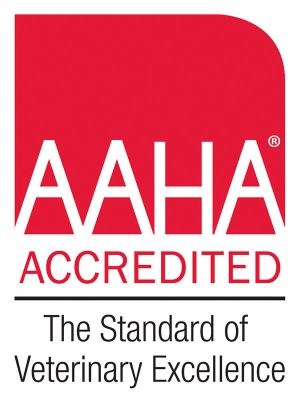 American Animal Hospital Association logo, white letters that spell AAHA over red background