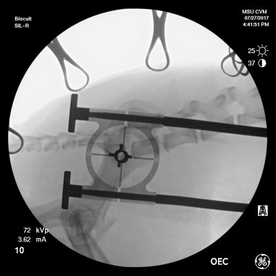 New MSU Patent Reduces Inaccuracies, Radiation Exposure During