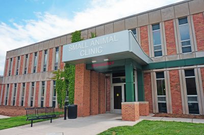 Michigan State University College of Veterinary Medicine Employees