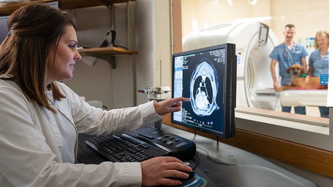 Diagnostic Imaging/Radiology | College of Veterinary Medicine at MSU