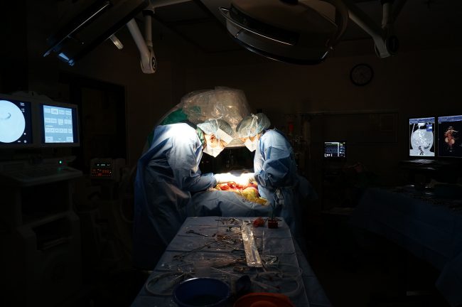 Interventional Radiology | College of Veterinary Medicine at MSU