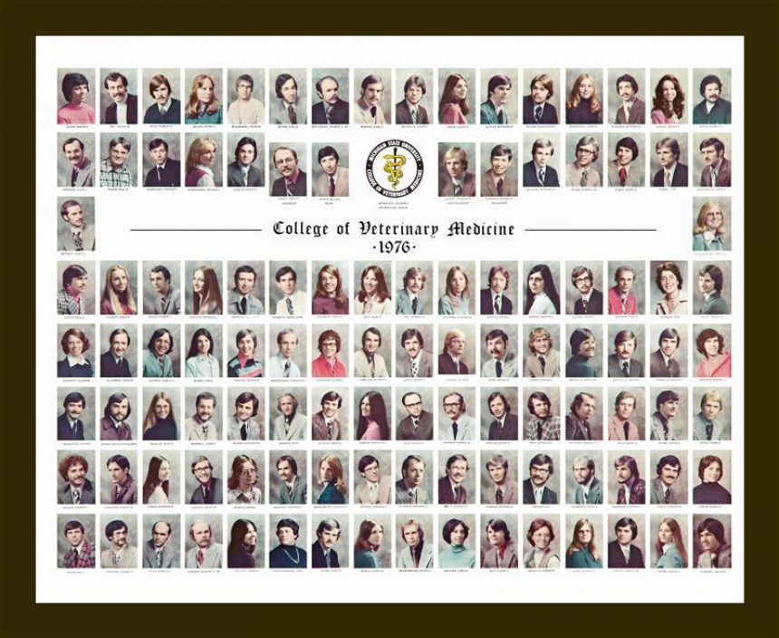 1976 Dvm Composite 1