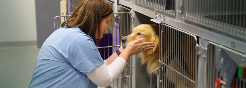 Vet Techs Careers Banner