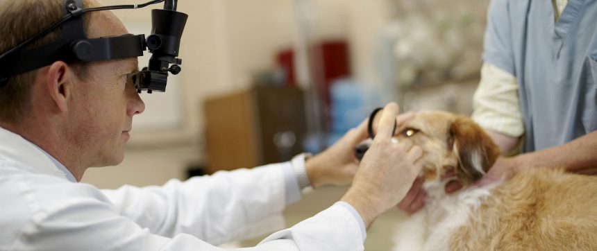 Doctor and others in scrubs getting prepared for surgery