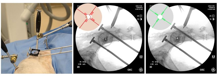 Ortho Sil Study2