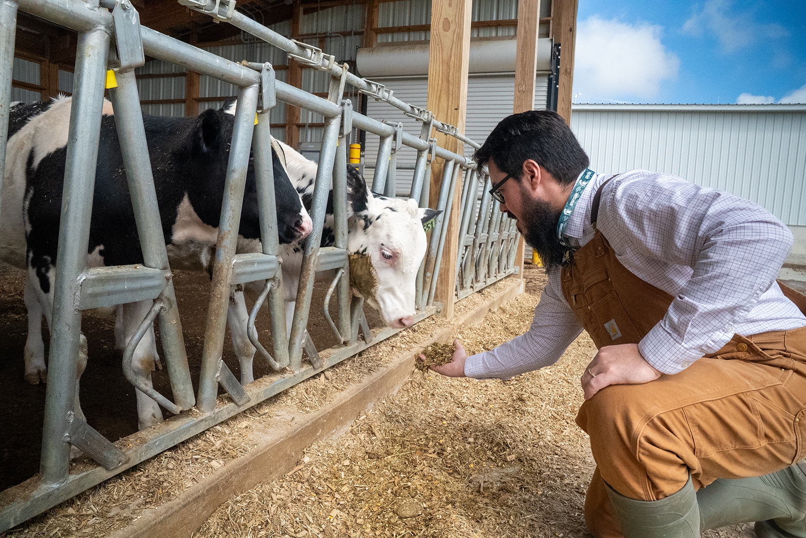 For Happier Healthier Cows 16