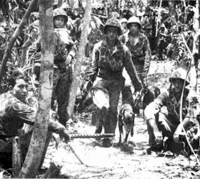 10 1St Marine War Dog Platoon