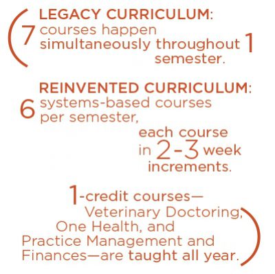 Curriculum Infographic 400