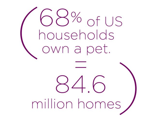 04 68 Percent Of Us Households Own Pet