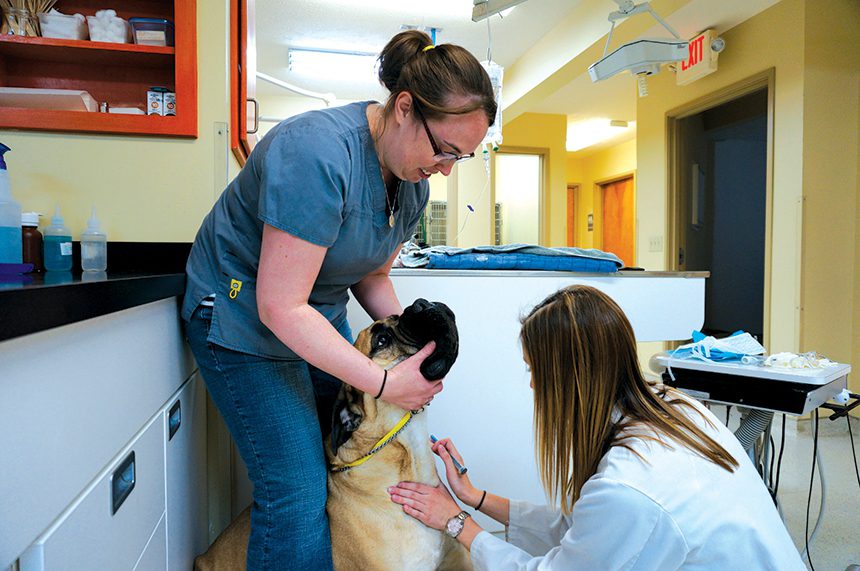 13 Students With Dog