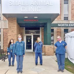 Msuvets Dvm 2020 Susannah1