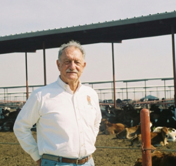 Vc With Cows