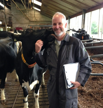 Mark Fox Cow Lick