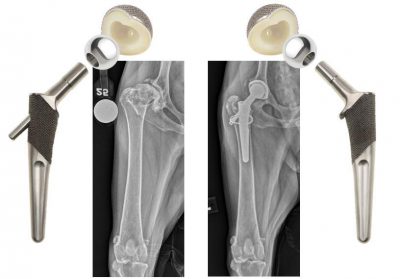 Ortho Thr Biometrix Equipment