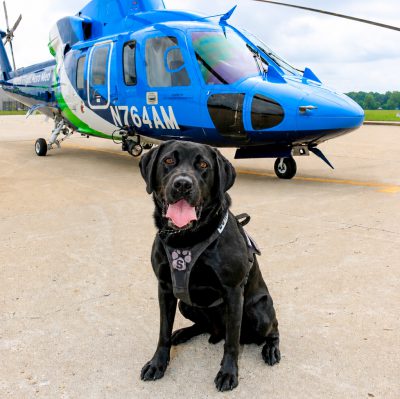 Aeromeddog