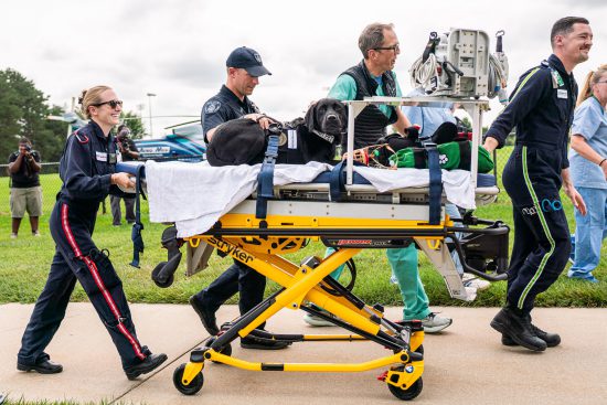 Aeromed 3