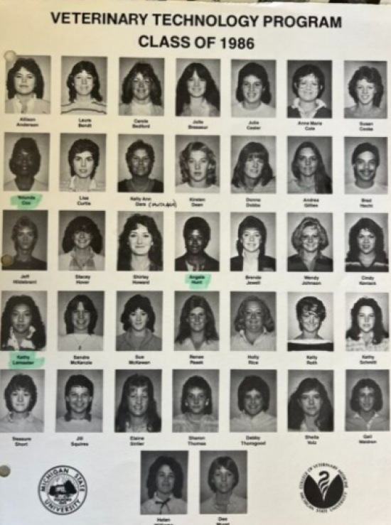 Yearbook