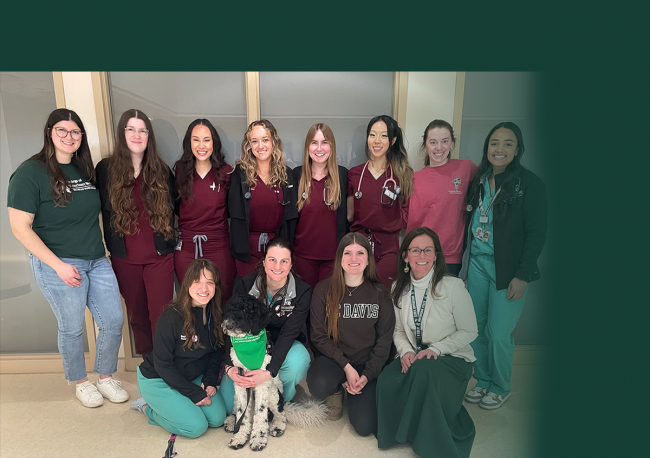 Veterinary Matching Program Match Day 2025: Recognizing Veterinary Residencies and Internships ...