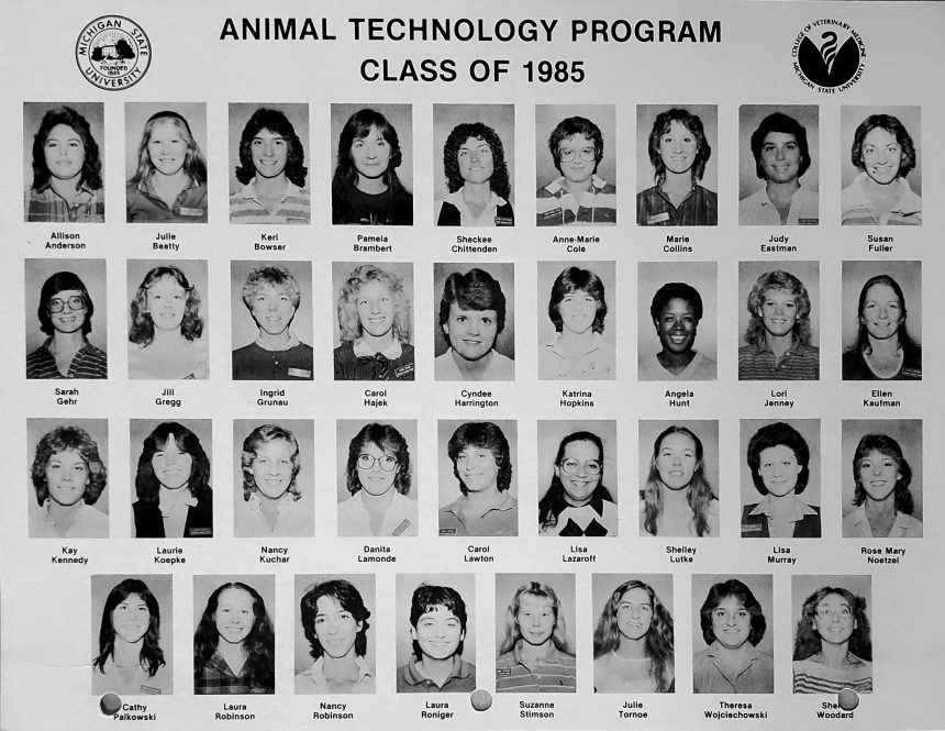 40Th Vet Nursing