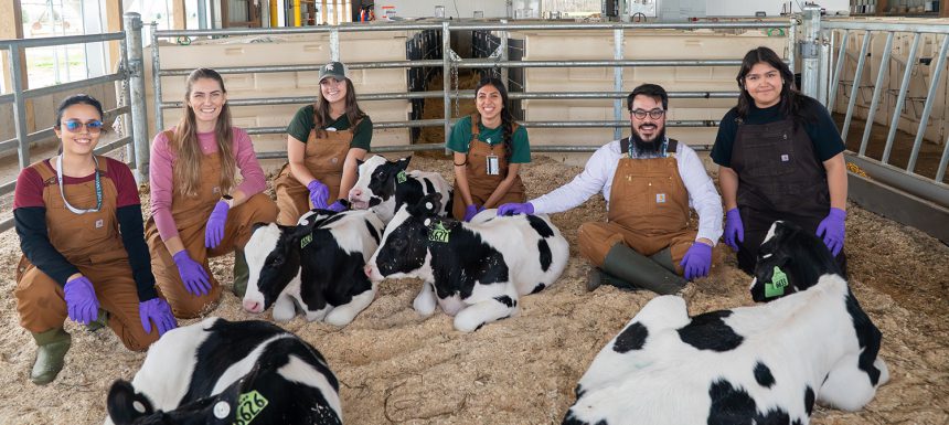 For Happier Healthier Cows 43