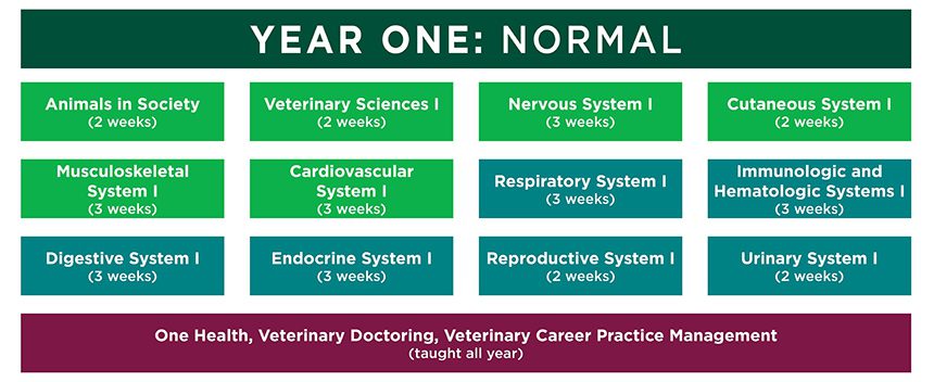 Year One Curriculum Graphic