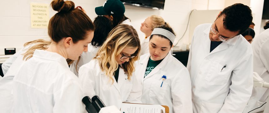 Dvm Students In Lab