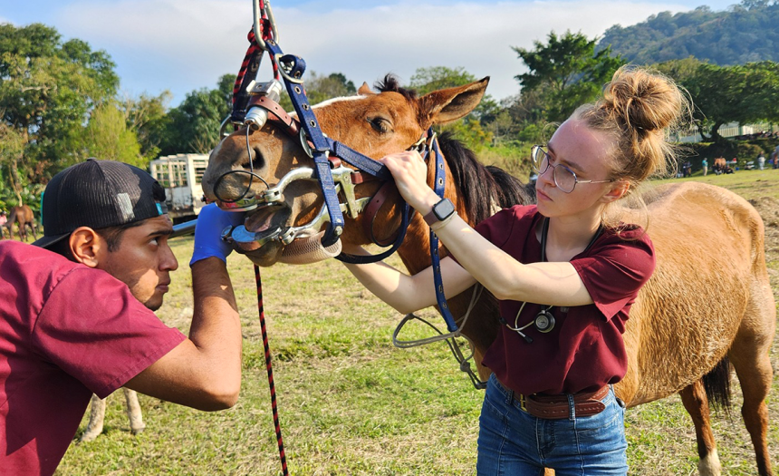 Maybe Better Dental Photo Web