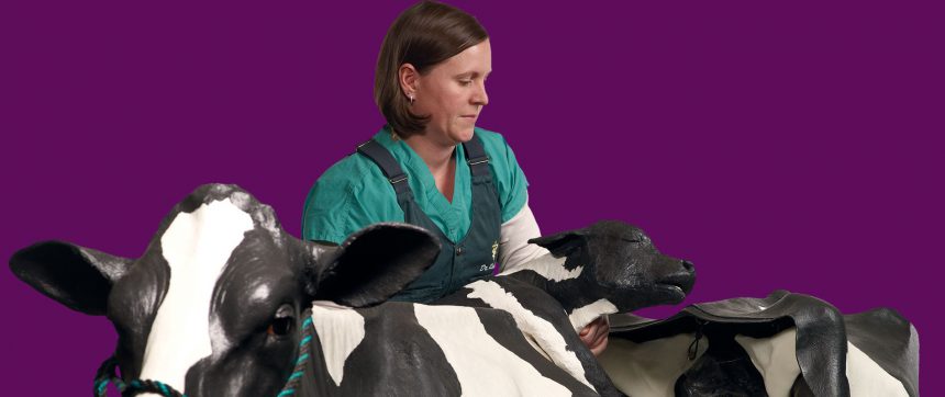 Jen Roberts With Mootilda The Simulation Cow