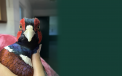 Bird Hero