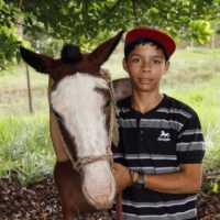 Boy With Horse