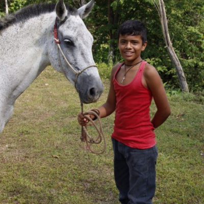 Child With Horse