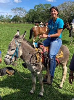 Student On Donkey