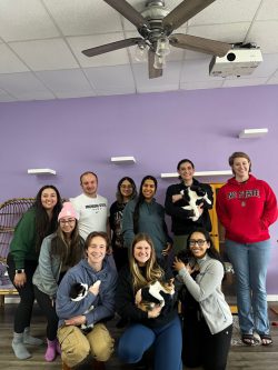 Feline Club Group Photo